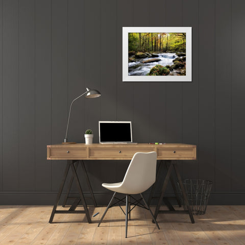 Over Flow II White Modern Wood Framed Art Print by Head, Danny