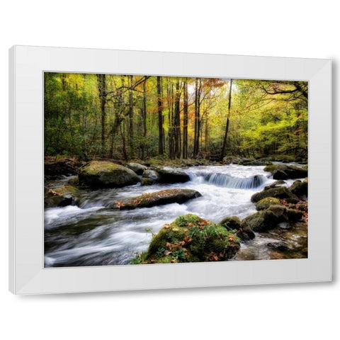 Over Flow II White Modern Wood Framed Art Print by Head, Danny