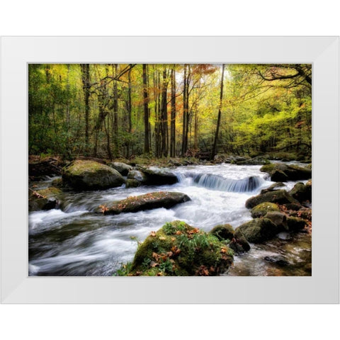 Over Flow II White Modern Wood Framed Art Print by Head, Danny