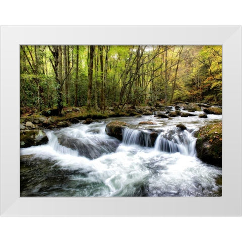 Waterslide White Modern Wood Framed Art Print by Head, Danny