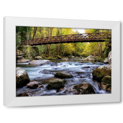 On the Rocks White Modern Wood Framed Art Print by Head, Danny