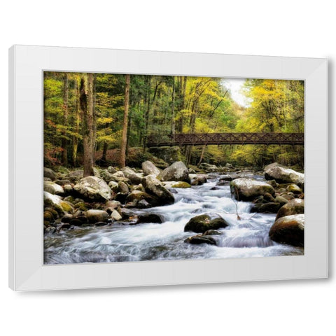 Bridging the Seasons White Modern Wood Framed Art Print by Head, Danny