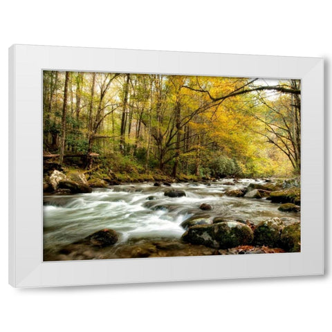 Creekside White Modern Wood Framed Art Print by Head, Danny