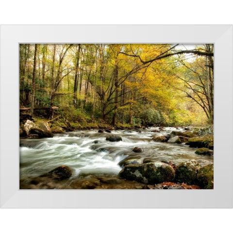 Creekside White Modern Wood Framed Art Print by Head, Danny