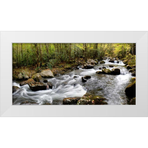 Up the Creek Panorama White Modern Wood Framed Art Print by Head, Danny