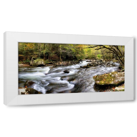 Tremont Panorama I White Modern Wood Framed Art Print by Head, Danny