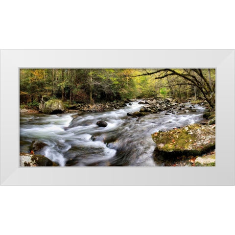 Tremont Panorama I White Modern Wood Framed Art Print by Head, Danny