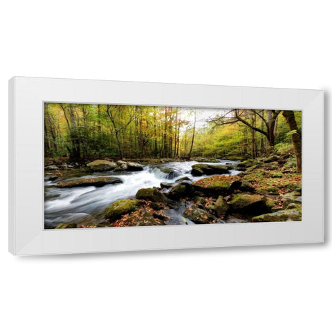 Tremont Panorama II White Modern Wood Framed Art Print by Head, Danny