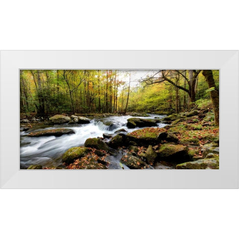Tremont Panorama II White Modern Wood Framed Art Print by Head, Danny