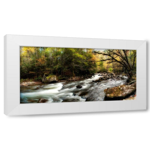 Tremont Panorama III White Modern Wood Framed Art Print by Head, Danny