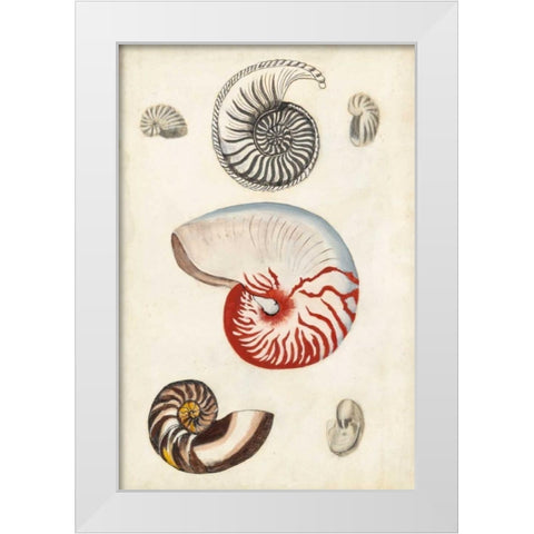 Seashore Field Notes I White Modern Wood Framed Art Print by McCavitt, Naomi