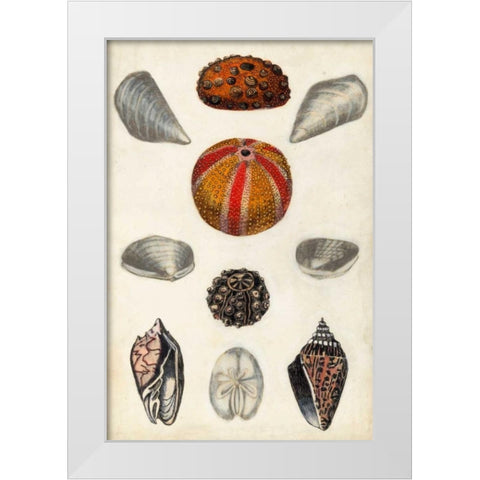 Seashore Field Notes II White Modern Wood Framed Art Print by McCavitt, Naomi