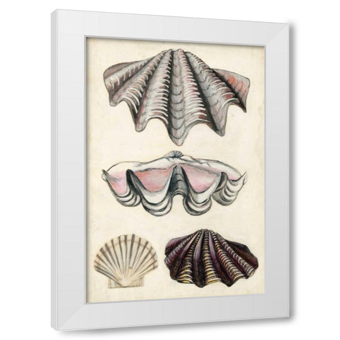 Seashore Field Notes IV White Modern Wood Framed Art Print by McCavitt, Naomi