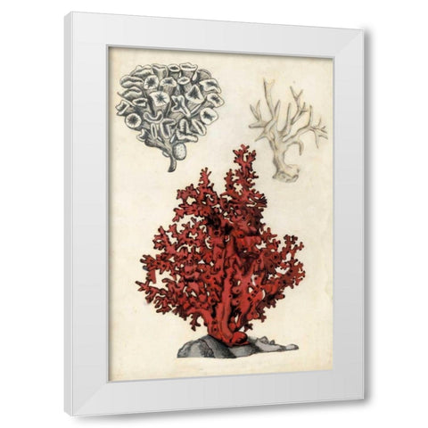 Seashore Field Notes V White Modern Wood Framed Art Print by McCavitt, Naomi