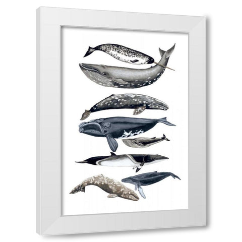 Whale Display II White Modern Wood Framed Art Print by McCavitt, Naomi