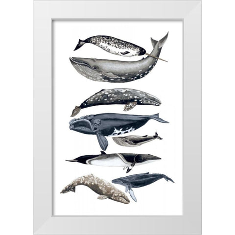 Whale Display II White Modern Wood Framed Art Print by McCavitt, Naomi