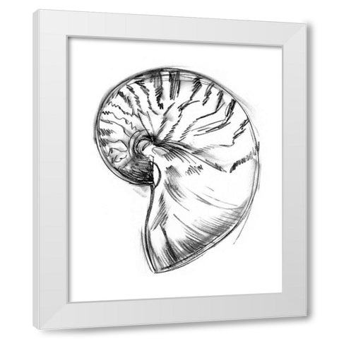 UA CH Shell Sketch IV White Modern Wood Framed Art Print by Harper, Ethan