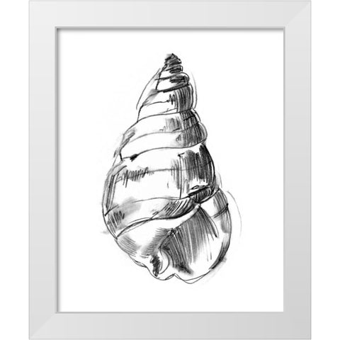 UA CH Shell Sketch V White Modern Wood Framed Art Print by Harper, Ethan