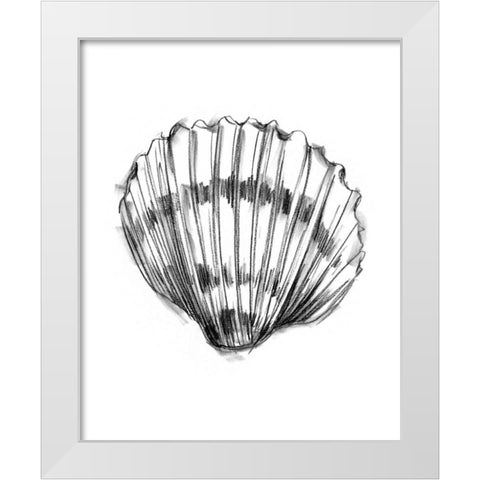 UA CH Shell Sketch VI White Modern Wood Framed Art Print by Harper, Ethan