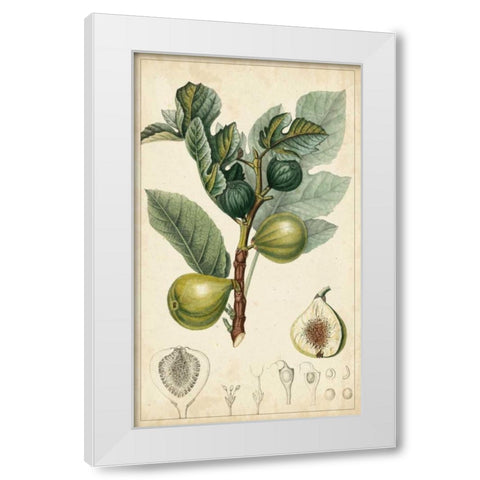 Exotic Fruits I White Modern Wood Framed Art Print by Turpin