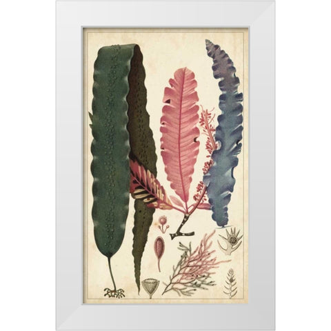 Turpin Seaweed II White Modern Wood Framed Art Print by Turpin