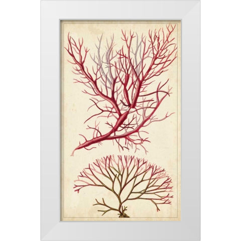 Turpin Seaweed V White Modern Wood Framed Art Print by Turpin