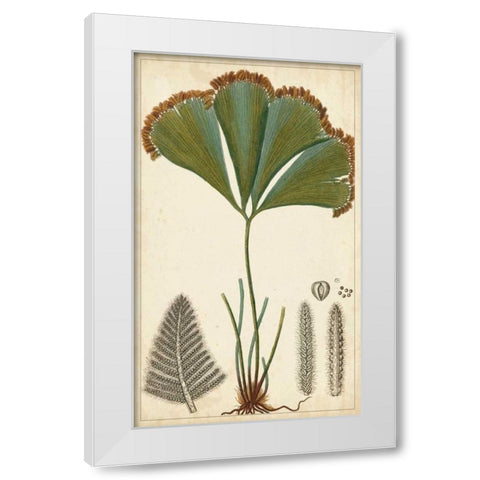 Foliage Botanique I White Modern Wood Framed Art Print by Turpin