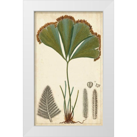 Foliage Botanique I White Modern Wood Framed Art Print by Turpin