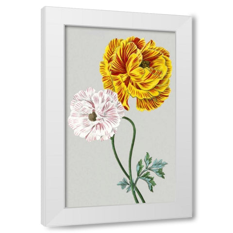 Vintage Garden Varieties III White Modern Wood Framed Art Print by Vision Studio