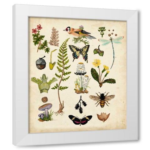 A Walk in the Forest I White Modern Wood Framed Art Print by McCavitt, Naomi