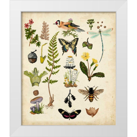 A Walk in the Forest I White Modern Wood Framed Art Print by McCavitt, Naomi