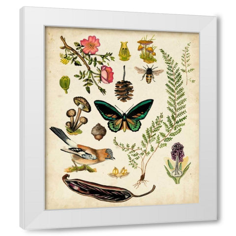 A Walk in the Forest II White Modern Wood Framed Art Print by McCavitt, Naomi