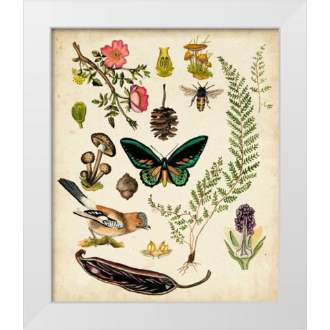 A Walk in the Forest II White Modern Wood Framed Art Print by McCavitt, Naomi