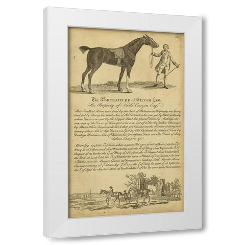 Horse Portraiture I White Modern Wood Framed Art Print by Unknown