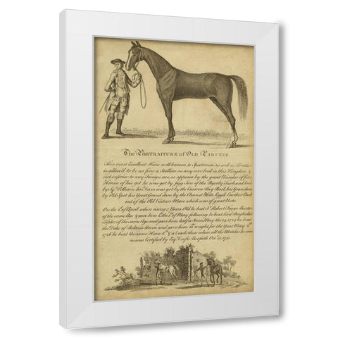 Horse Portraiture II White Modern Wood Framed Art Print by Unknown