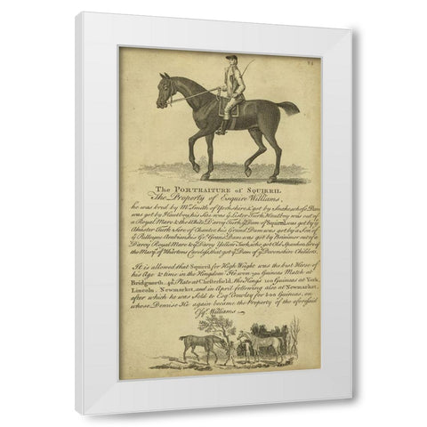 Horse Portraiture VI White Modern Wood Framed Art Print by Unknown