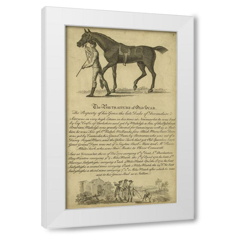 Horse Portraiture VIII White Modern Wood Framed Art Print by Unknown