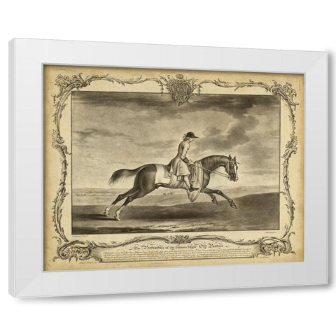 Distinguished Horses I White Modern Wood Framed Art Print by Unknown