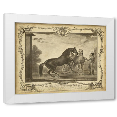 Distinguished Horses III White Modern Wood Framed Art Print by Unknown