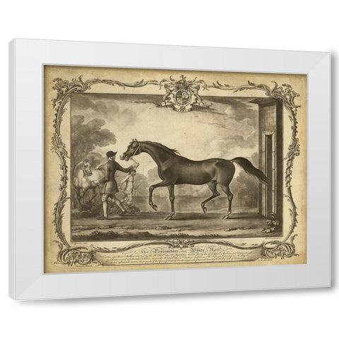 Distinguished Horses IV White Modern Wood Framed Art Print by Unknown