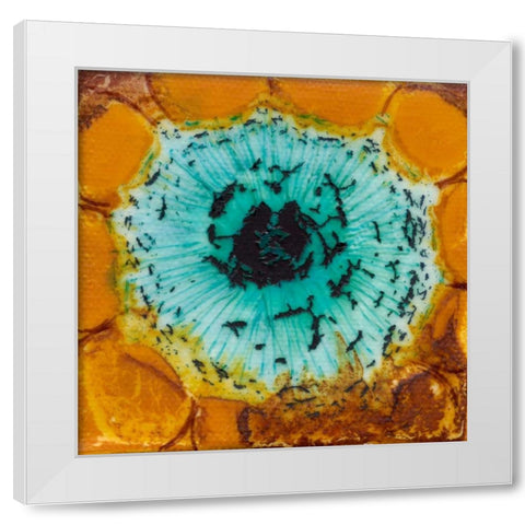 Oculus I White Modern Wood Framed Art Print by Ludwig, Alicia