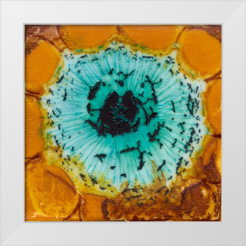 Oculus I White Modern Wood Framed Art Print by Ludwig, Alicia