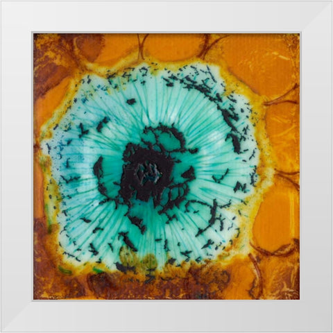 Oculus II White Modern Wood Framed Art Print by Ludwig, Alicia