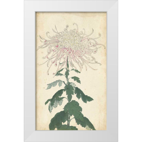 Elegant Chrysanthemums IV White Modern Wood Framed Art Print by Unknown