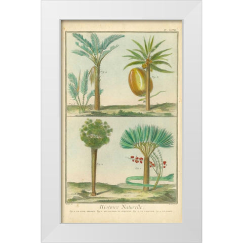 Histoire Naturelle Tropicals I White Modern Wood Framed Art Print by Martinet