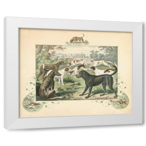 A Group of Hounds White Modern Wood Framed Art Print by Unknown