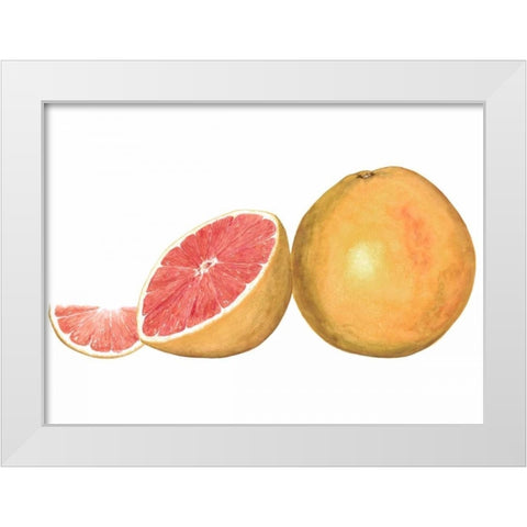 Watercolor Grapefruit White Modern Wood Framed Art Print by Willett, Michael