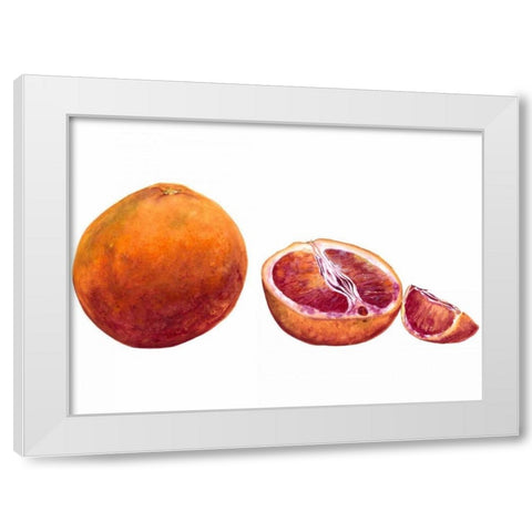 Watercolor Blood Orange White Modern Wood Framed Art Print by Willett, Michael