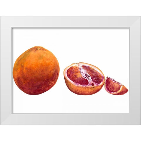 Watercolor Blood Orange White Modern Wood Framed Art Print by Willett, Michael