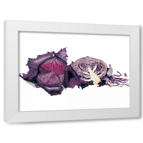 Watercolor Purple Cabbage White Modern Wood Framed Art Print by Willett, Michael